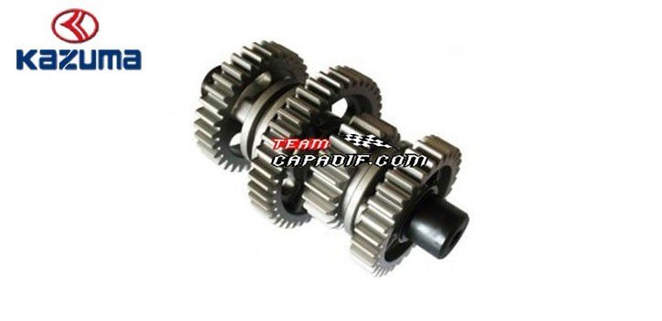 Cambio de marchas CONJUNTO kazuma jaguar 500CC
