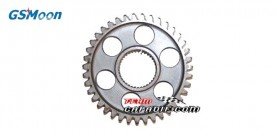 Differential gear wheel 