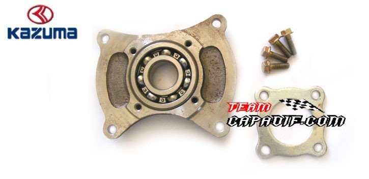 BASE TENIENDO KAZUMA JAGUAR 500CC