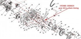 gear drive chain timing Kazuma  Jaguar