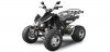 EGL Motor Quad 250CC Speedbird