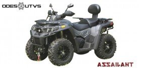 ASSAILANT ODES ATV 800CC 4X4 Genehmigung T3.