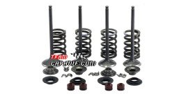 CFMoto 500cc CF188 set valvole