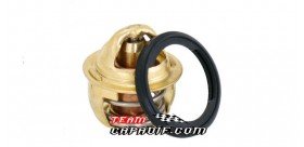 CFMoto 500cc CF188 Thermostat