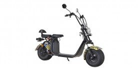 Citycoco Harley scooter électrique EEC 
