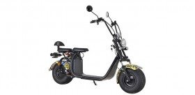 Citycoco Harley scooter électrique EEC 