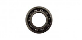 Ball bearing 6005