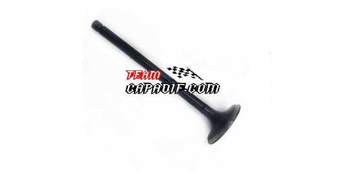  Exhaust Valve HISUN 700