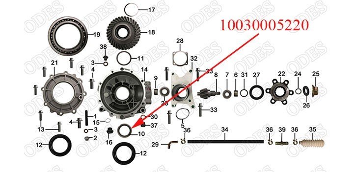 Needle bearing NK556720