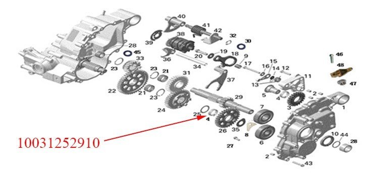 BEARING-NEEDLE  10031252910