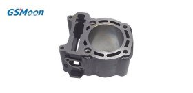 Zylinder Motor GSMOON 260CC 