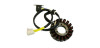 Statore bobina di magnete GSMOON XY260ST-XYKD260-1 -XYKD260-2