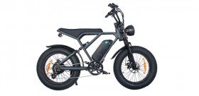 Super Powerful Mountain Fat Tire Adult Electric Bike